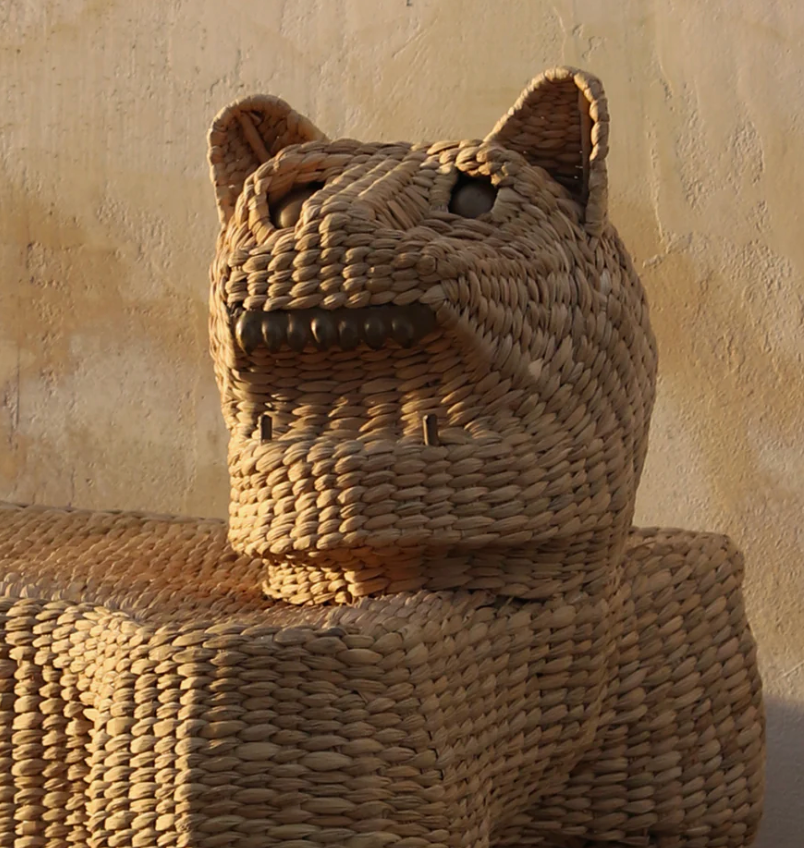 Banque de Chuspata - Pantera