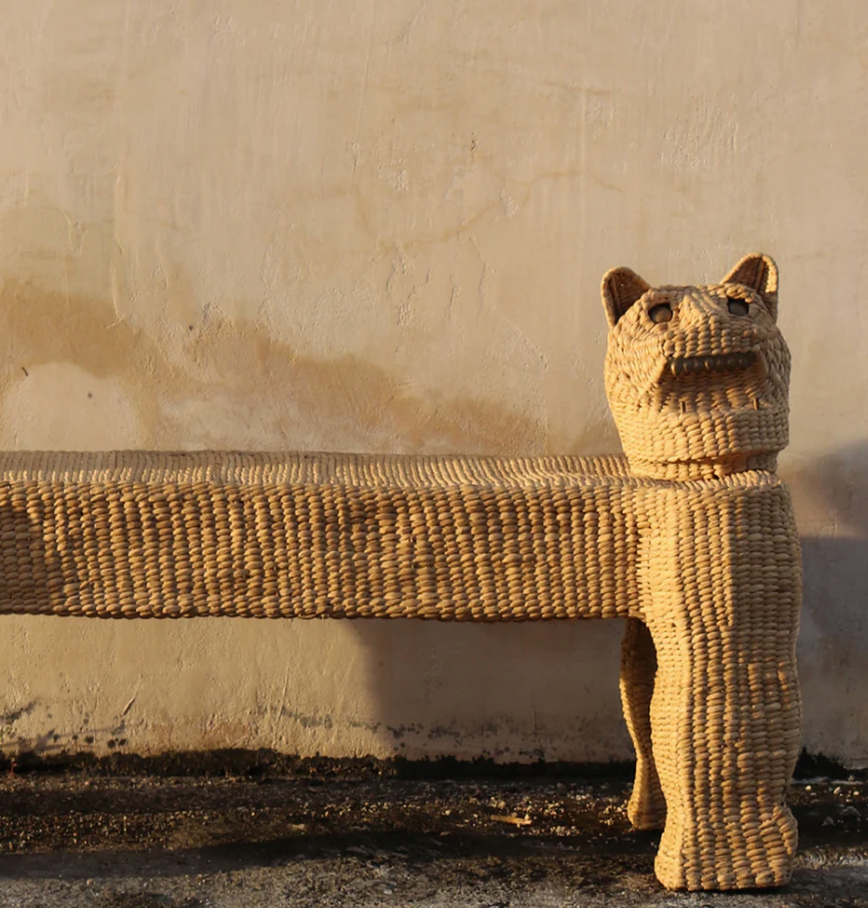 Banque de Chuspata - Pantera