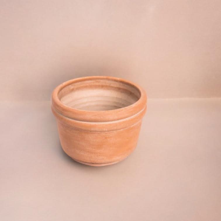 Felipe Medium Terracotta Planter - Cultheir