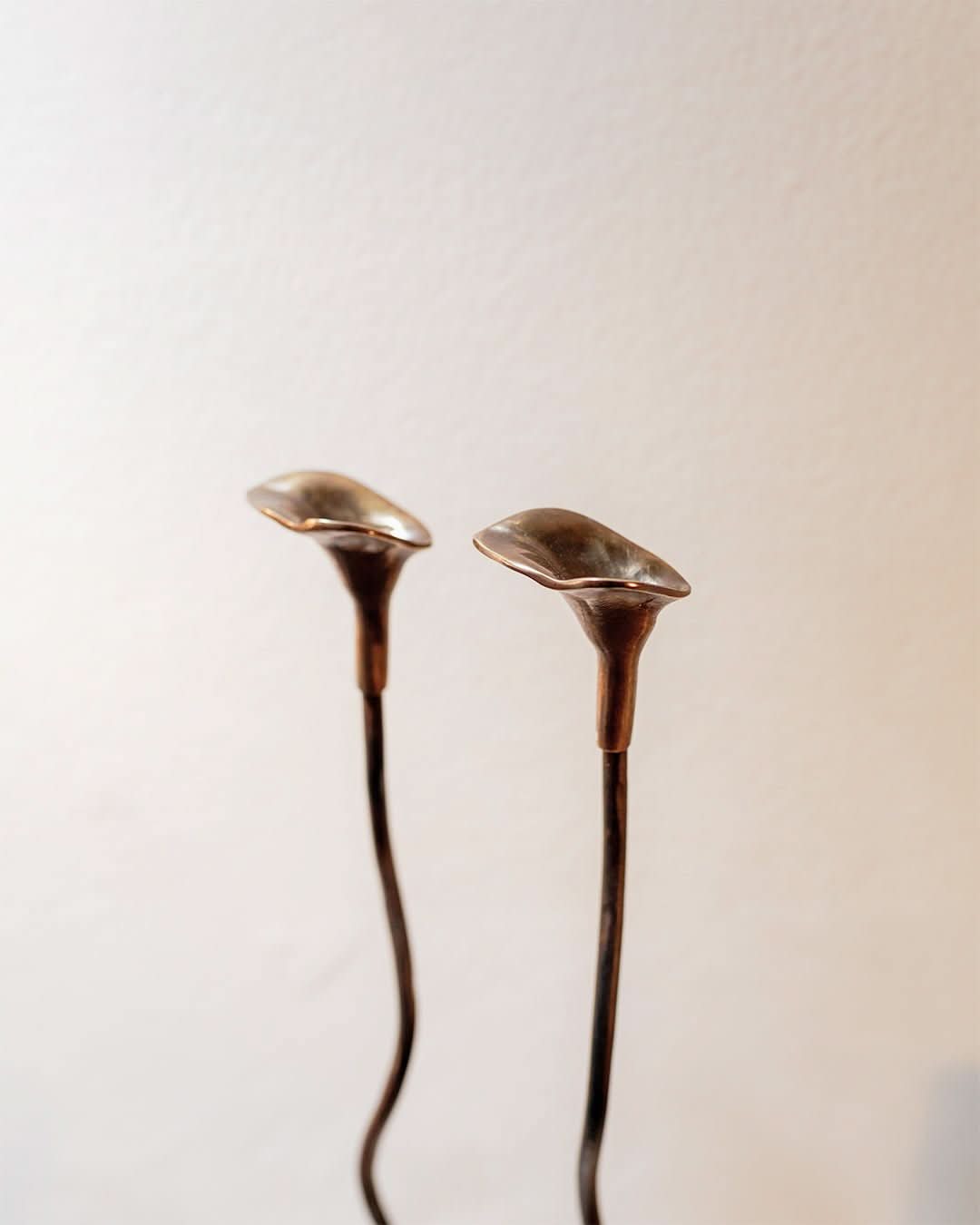 Ferra Rose Candle Holders (Set of 2) - Cultheir