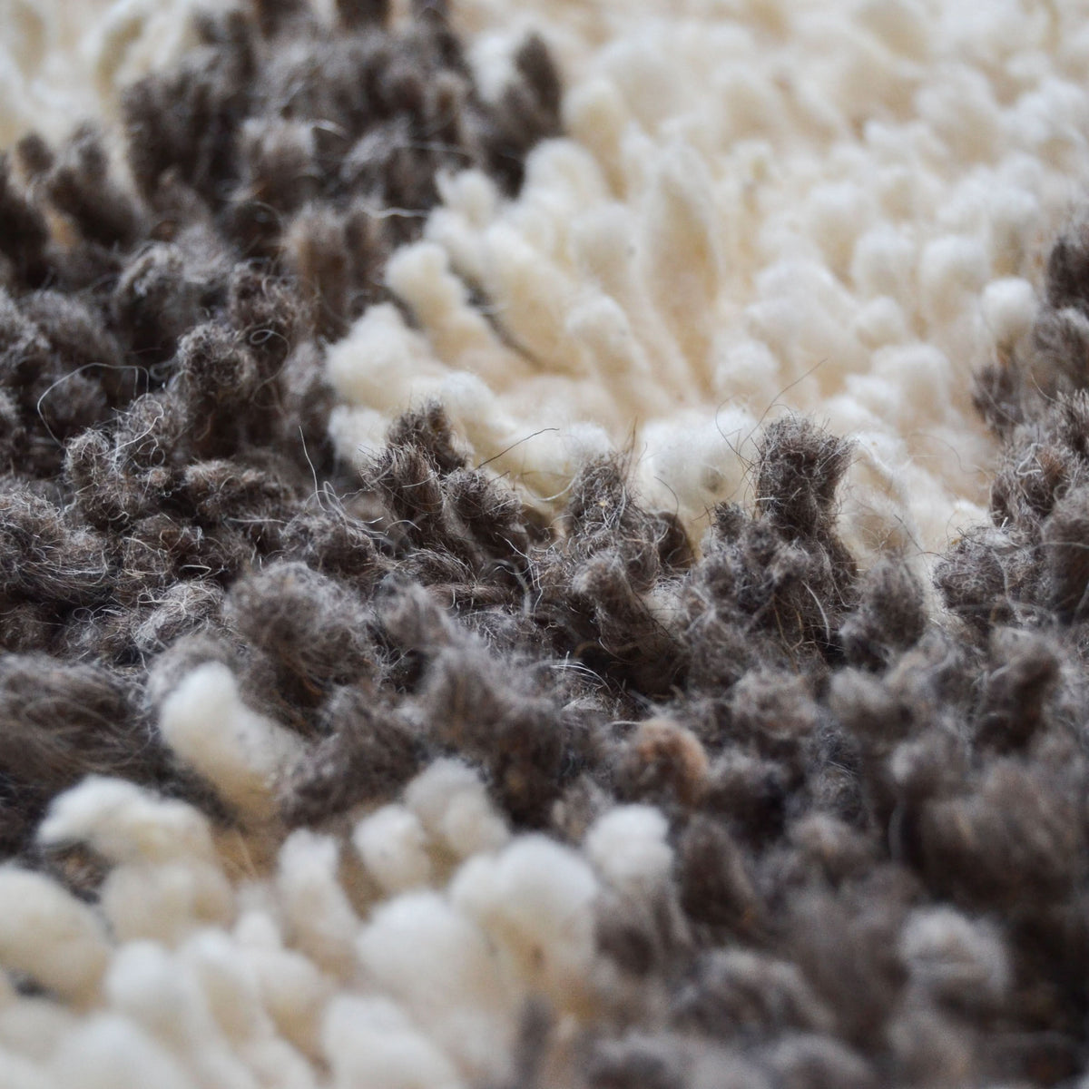 Kanba Wool Rug by Diego Olivero Studio - Cultheir