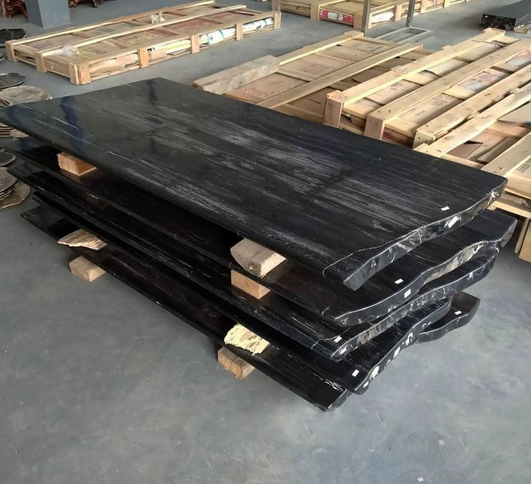 Petrified Wood & Onyx Table - Cultheir