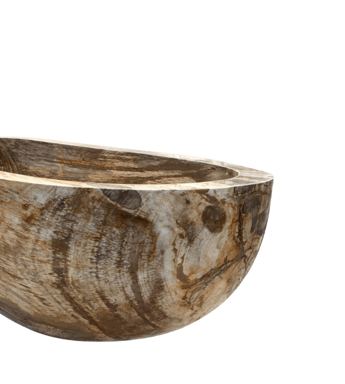 The Fossil Bathtub - Cultheir